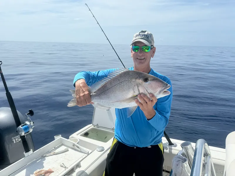 Bluebone Porgy (Calamus bajonado)