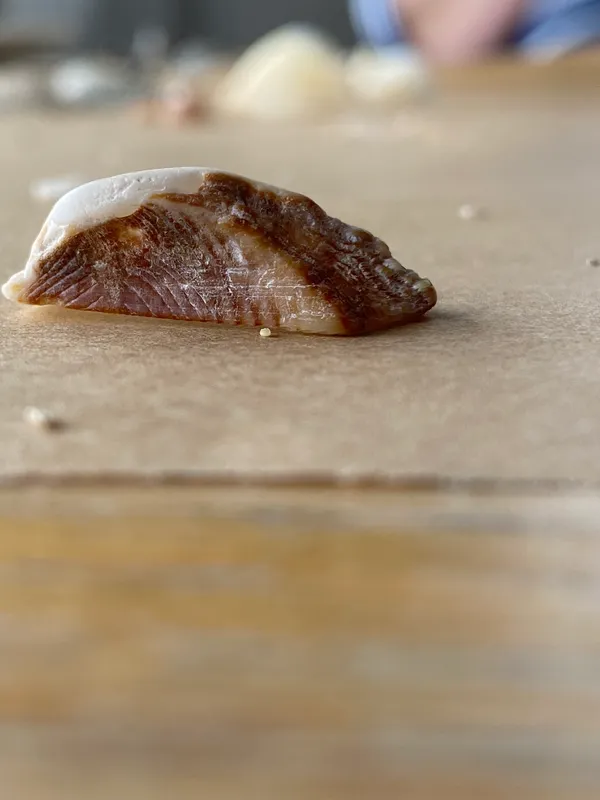 Ark-Shell (Tetrarca tetragona)