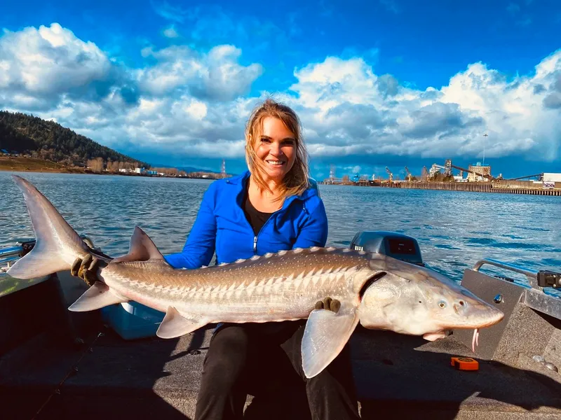 White Sturgeon (Acipenser transmontanus)