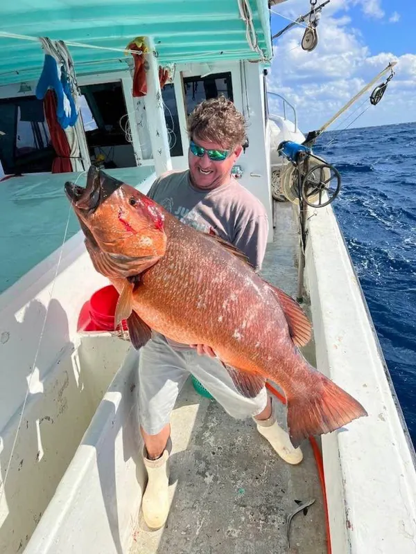 Cubera Snapper (Lutjanus cyanopterus)